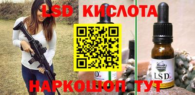 PSILOCYBIN Гатчина