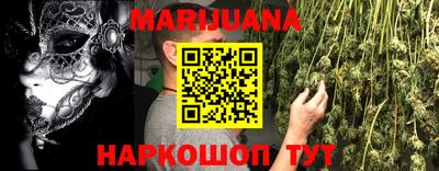 PSILOCYBIN Гатчина