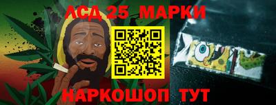 PSILOCYBIN Гатчина