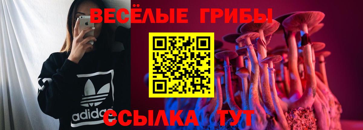 Псилоцибиновые грибы MAGIC MUSHROOMS  Павловский Посад 