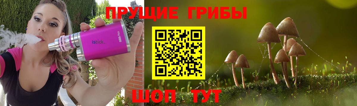 Псилоцибиновые грибы GOLDEN TEACHER  Вход с VPN  где купить наркоту  Галлюциногенные грибы мухоморы  Павловский Посад 